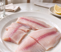 Sea Bream Fillets